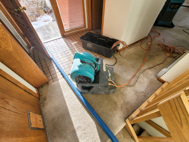 Best Water damage restoration process  in Northwood, IA