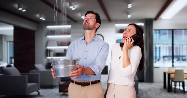 Best Flooded house restoration  in Northwood, IA